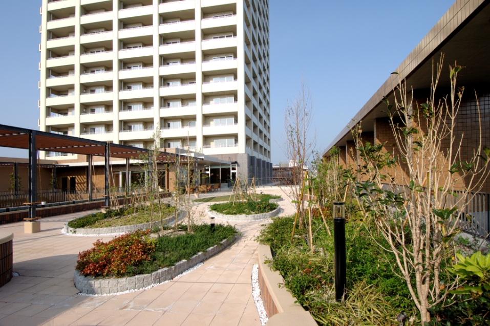 写真：屋上庭園